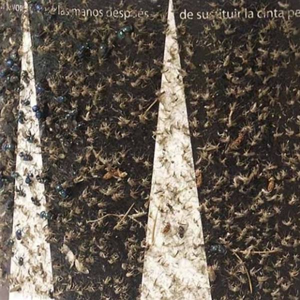 Hovedbilde Skeetervac myggfelle SV35 propan