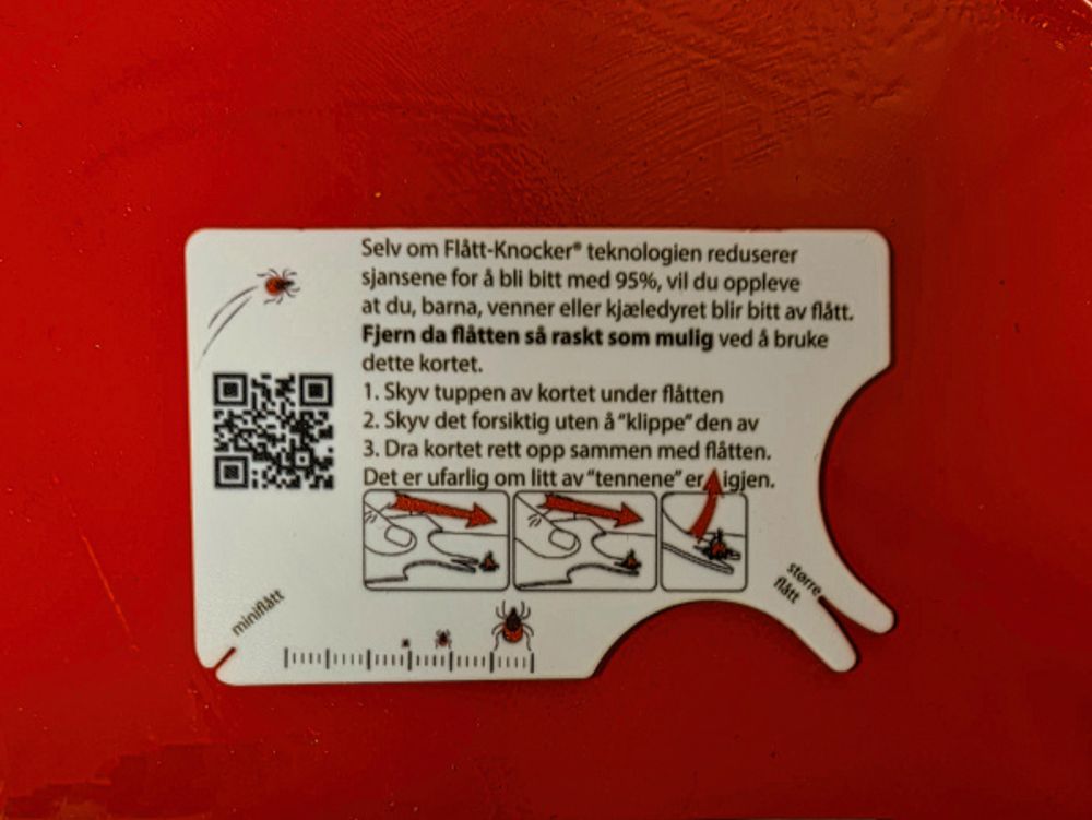 Flått Knocker Flåttnapper